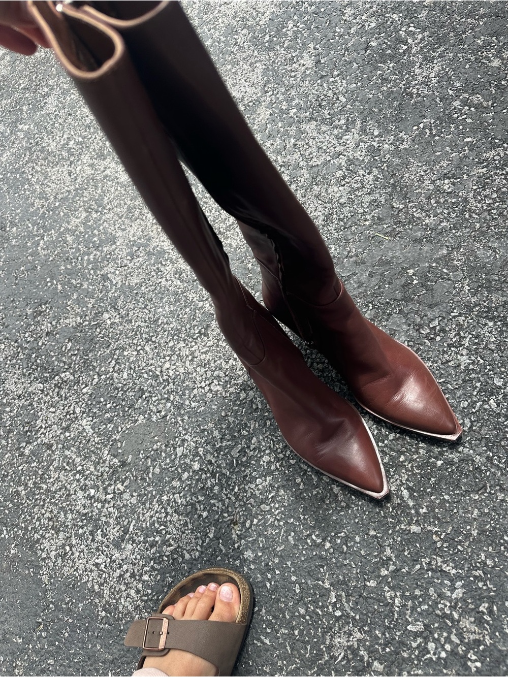 Dolce Vita Dark Brown Pointed-Toe Knee-High Leather Boots
